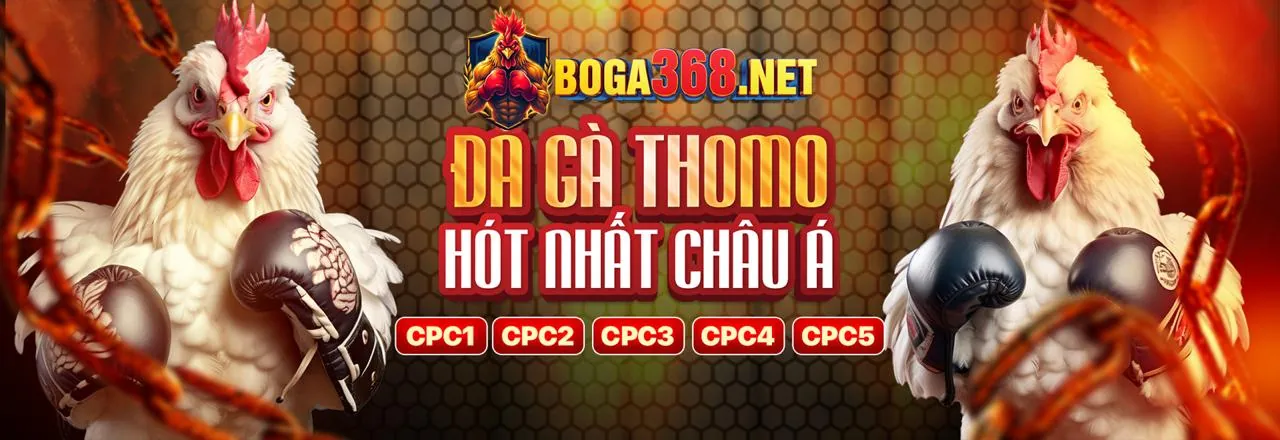 Đá gà trực tuyến 98win58 Saobet