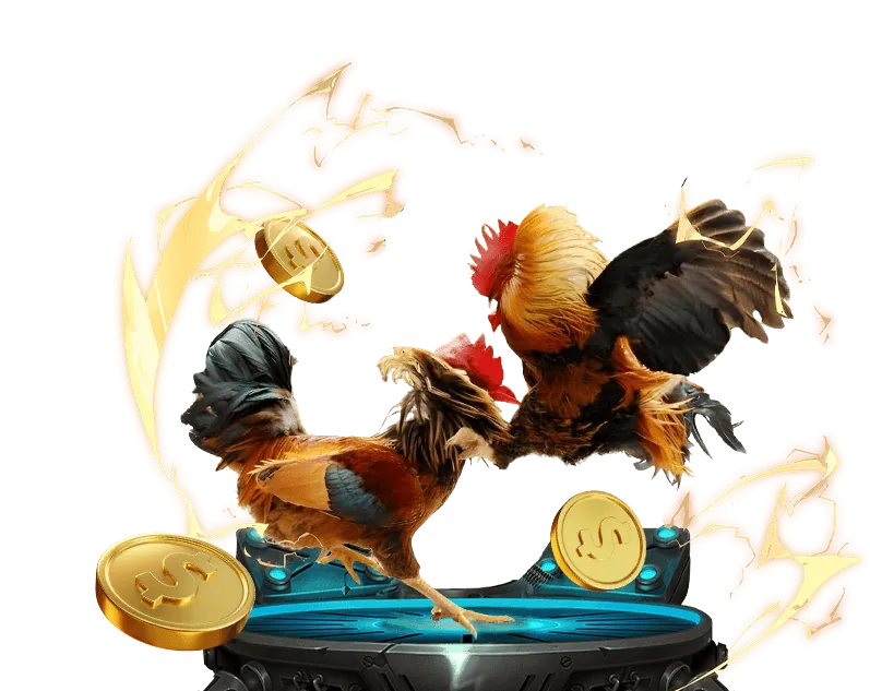 Đá gà trực tuyến tại TOT88